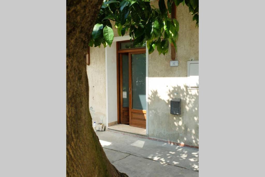 La Casina Di Bruna Mommio ภายนอก รูปภาพ