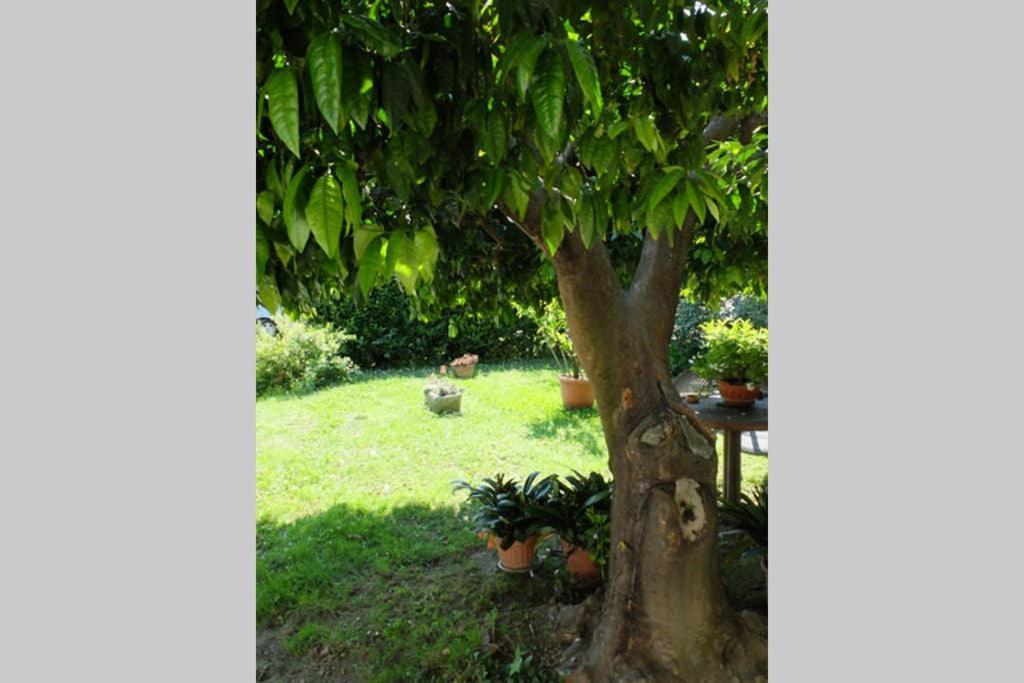 La Casina Di Bruna Mommio ภายนอก รูปภาพ